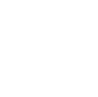 NSTI Festival